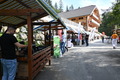 20231009-dsc_1034