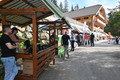 20231009-dsc_1036