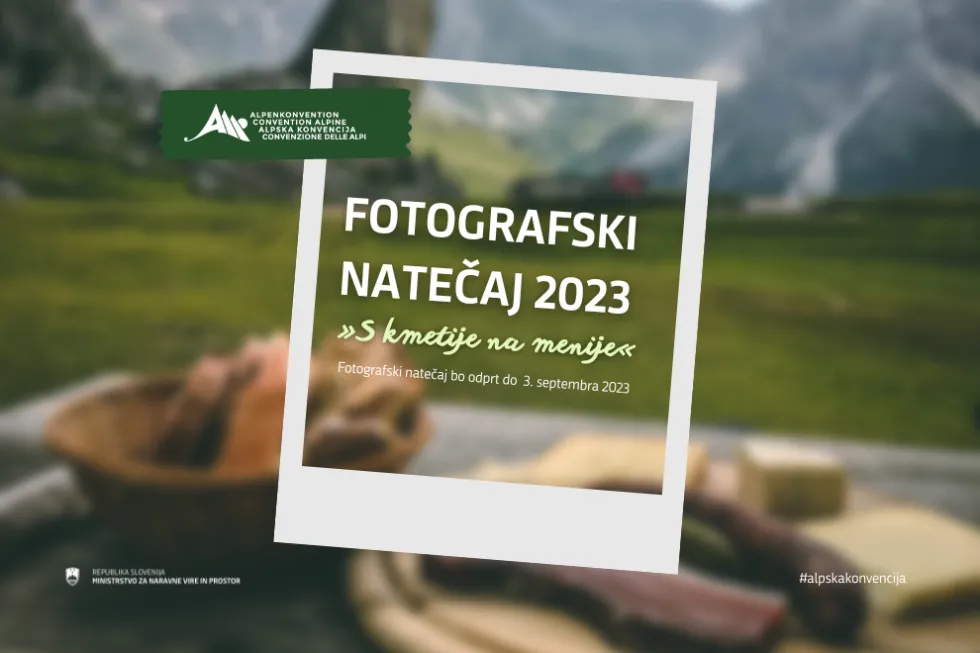 FOTOGRAFI
