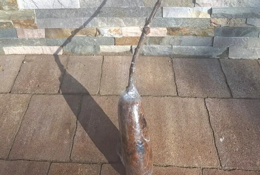 69afd8f29cd4e5f788f72fce-o